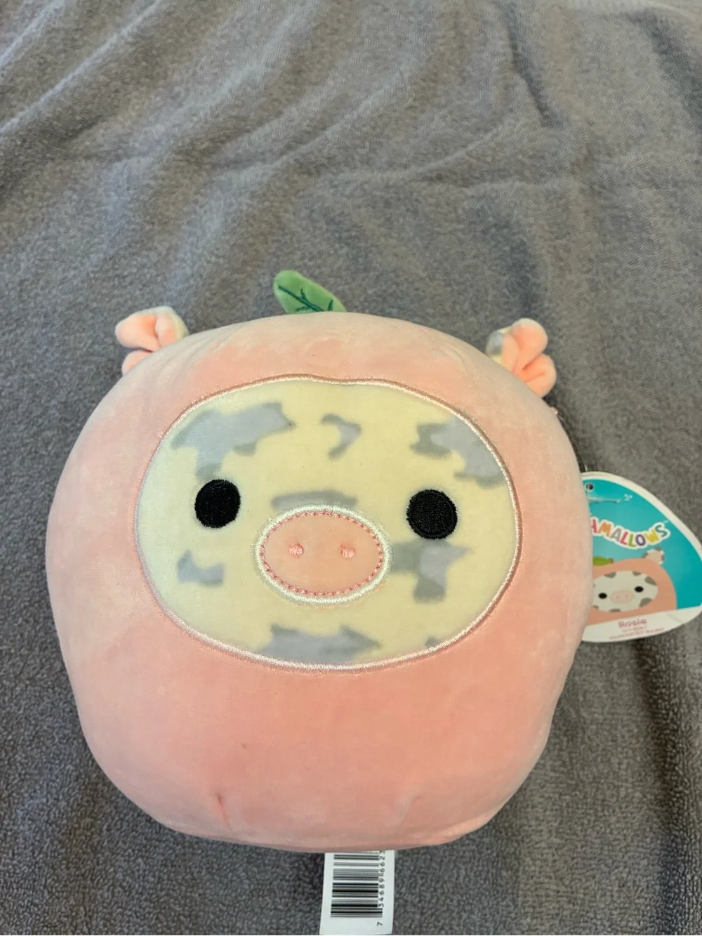 Squishmallows Rosie Pink Pig in a peach